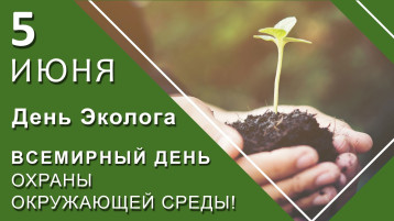 Всемирный день окружающей среды Всемирный день окружающей среды.